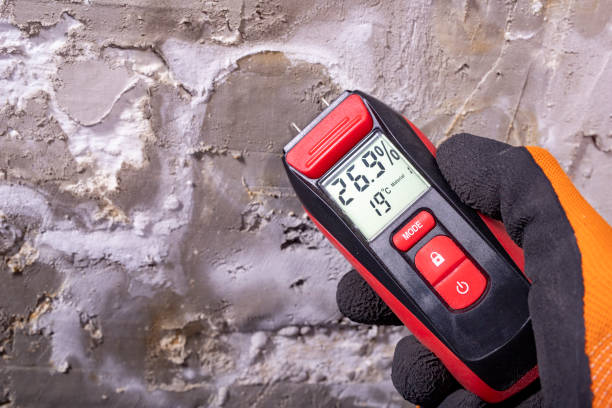 Professional Mold Removal in Paincourtville, LA